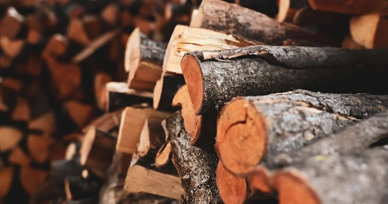 Le combustible et les coûts d'utilisation