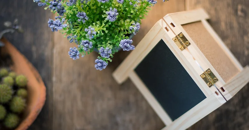La conversion par le conseil et la pédagogie