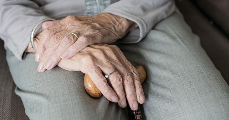 Jardins sensoriels pour personnes âgées : un bien-être retrouvé au naturel