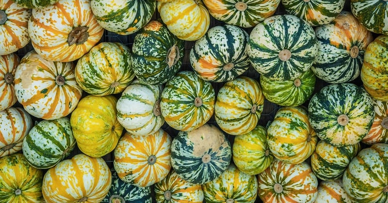 Vendre plus vite grâce à un jardin bien optimisé
